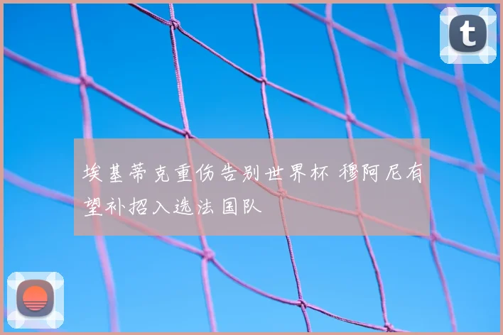 埃基蒂克重伤告别世界杯 穆阿尼有望补招入选法国队